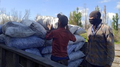 trabajadores forestales compromiso con la producción y distribución de carbón