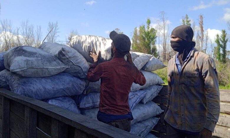 trabajadores forestales compromiso con la producción y distribución de carbón