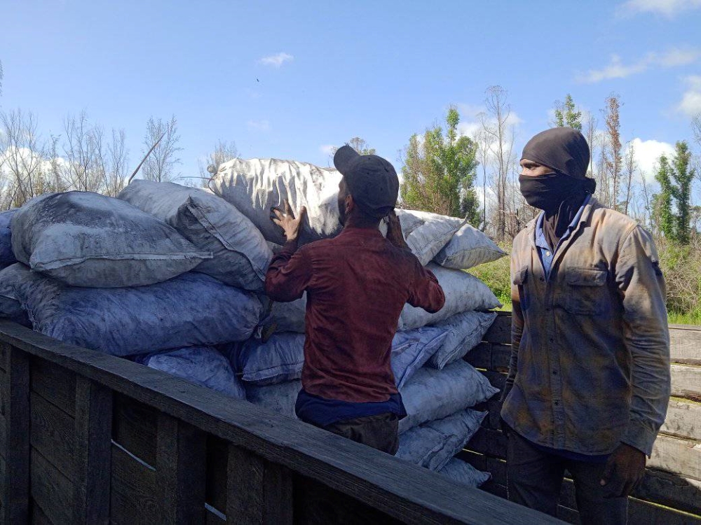 trabajadores forestales compromiso con la producción y distribución de carbón
