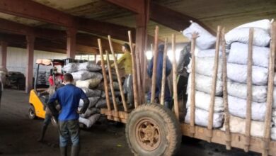Sandino indicadores económico-financieros