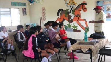 formación vocacional y orientación profesional