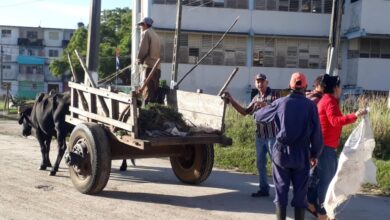 Prioriza Sector de Comunales recogida de desechos sólidos en ciudad Sandino