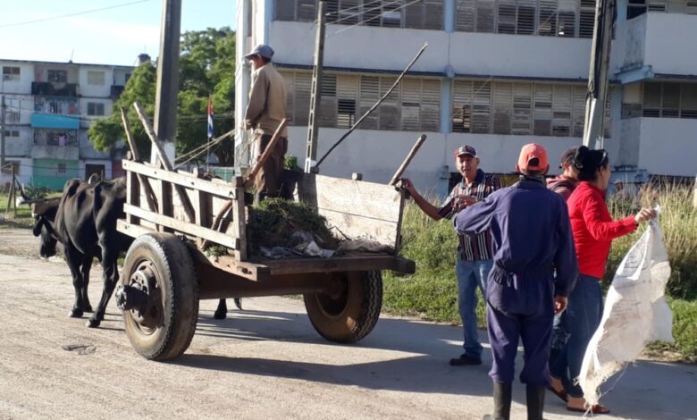 Prioriza Sector de Comunales recogida de desechos sólidos en ciudad Sandino
