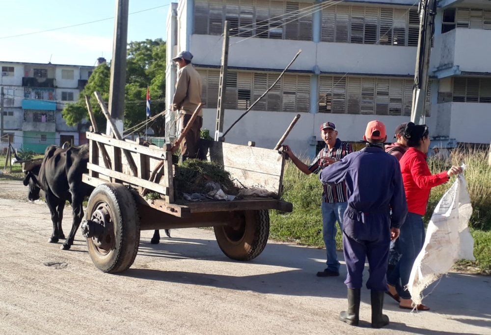 Prioriza Sector de Comunales recogida de desechos sólidos en ciudad Sandino