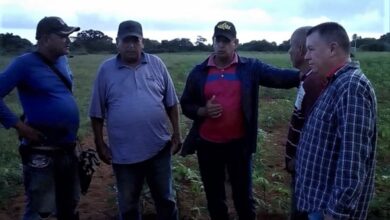 contratación agropecuaria