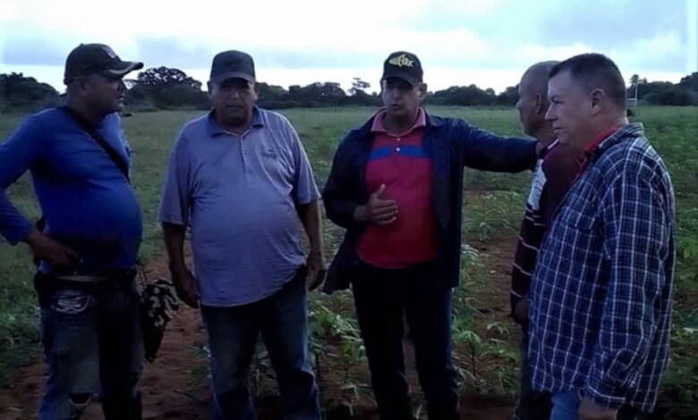 contratación agropecuaria