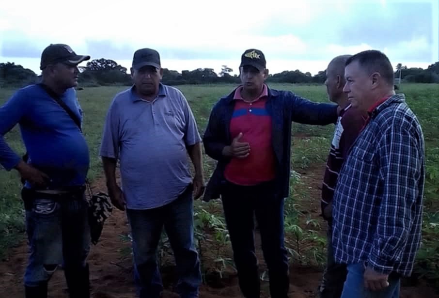 contratación agropecuaria