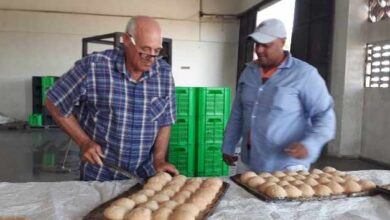 día del trabajador de la industria alimentaria