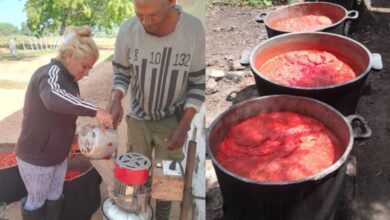 MIPYME agrícola Sandino elaboración de puré de tomate
