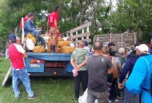 feria agropecuaria dia de los padres