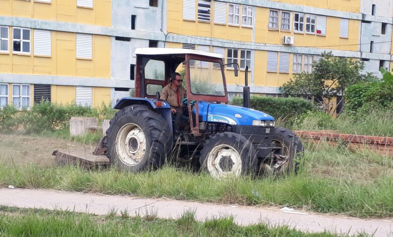 áreas verdes sandino