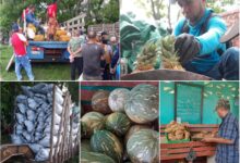 feria agropecuaria sandino