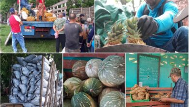 feria agropecuaria sandino