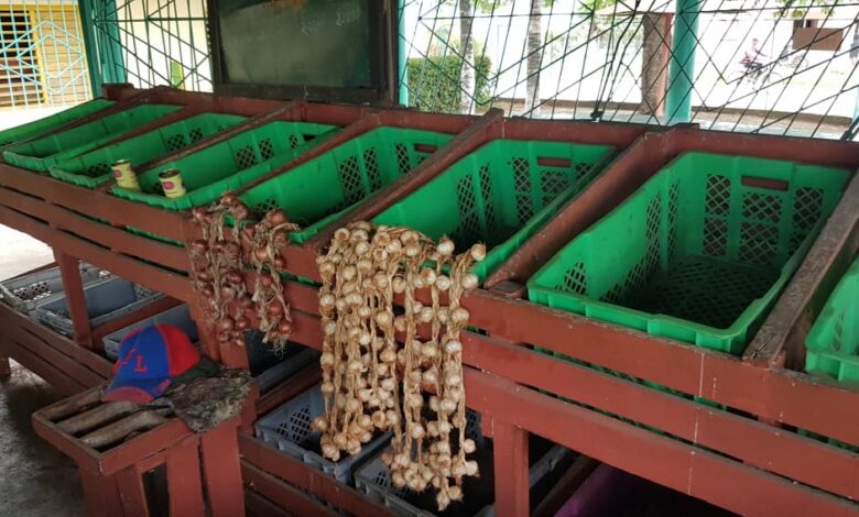 mercado el framboyán