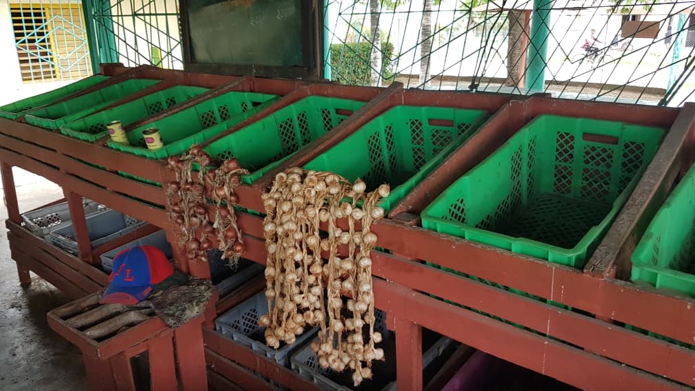 mercado el framboyán