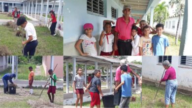 trabajo voluntario seminternado