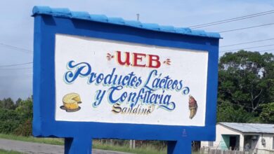 Combinado Lácteo en Sandino