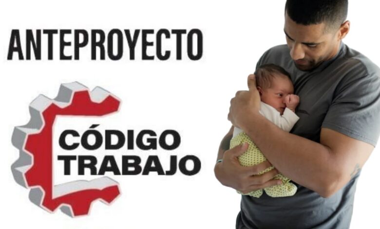 licencia de paternidad código de trabajo