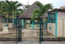 mercado agropecuario estatal (MAE) El Framboyán