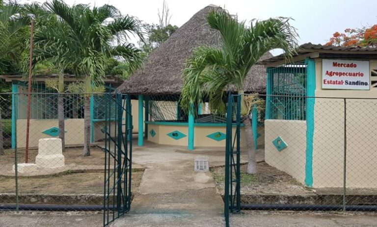 mercado agropecuario estatal (MAE) El Framboyán