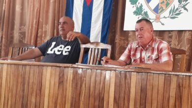 semilleros sandino campaña tabacalera