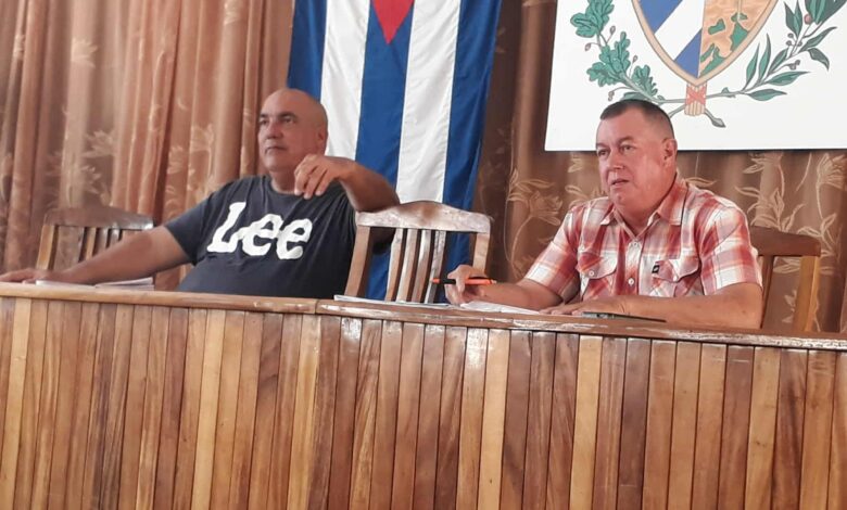 semilleros sandino campaña tabacalera