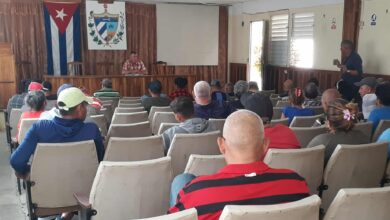 Analizan insuficiencias en el sector de la Agricultura en Sandino