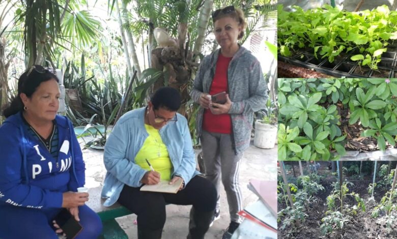 Grupo Nacional de la Agrucultura Urbana chequea cultivo de hortalizas en Sandino