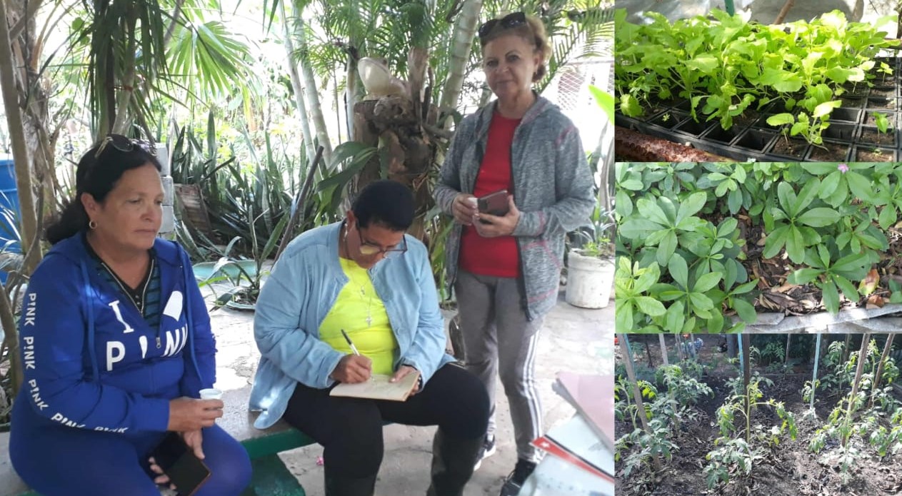 Grupo Nacional de la Agrucultura Urbana chequea cultivo de hortalizas en Sandino