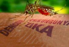 higienización sandino