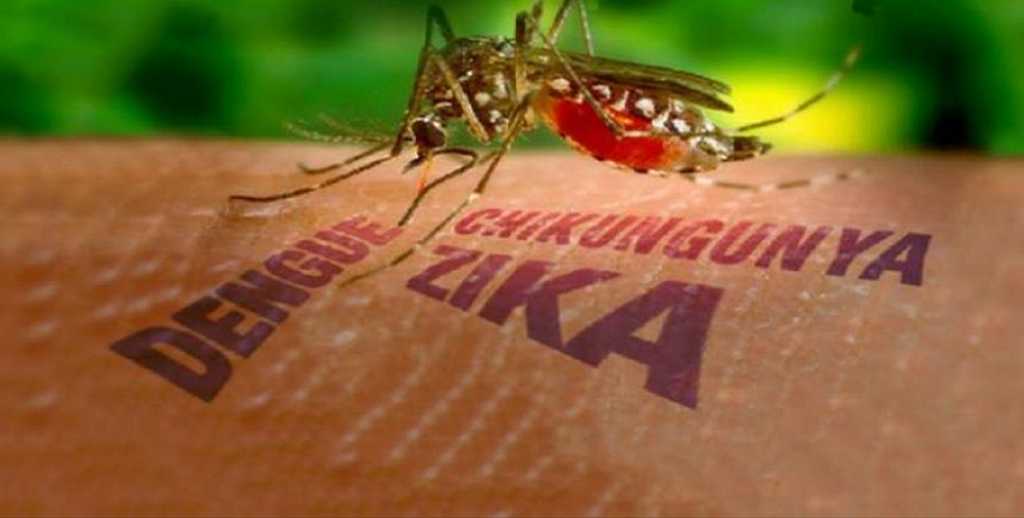 higienización sandino