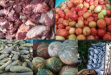 agricultores ferias agropecuarias sandino