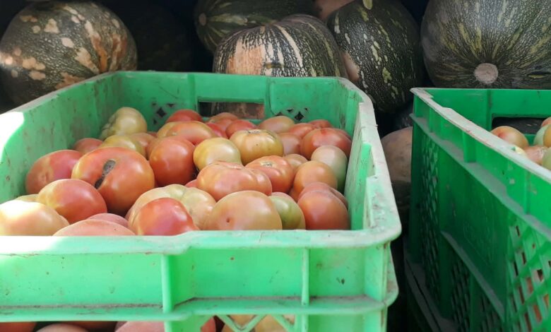 Mipyme Agrícola Granja Urbana mejora oferta de hortalizas en Sandino