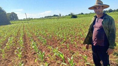 campesino agricultura sandino