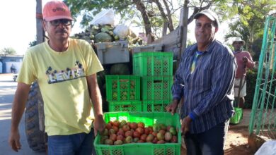 mercado agropecuario El Framboyán Sandino