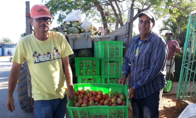 mercado agropecuario El Framboyán Sandino