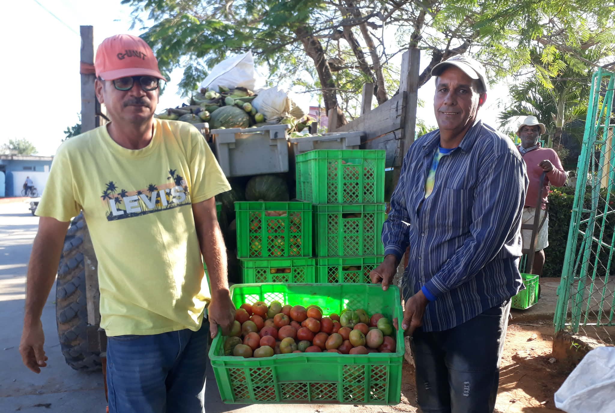 mercado agropecuario El Framboyán Sandino