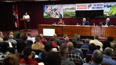 Plenos Extraordinarios de los Comités Provinciales del Partido