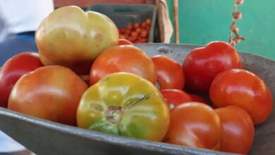 Cooperativa de Créditos y Servicios Abel Santamaría de la zona de Pasada de Marín