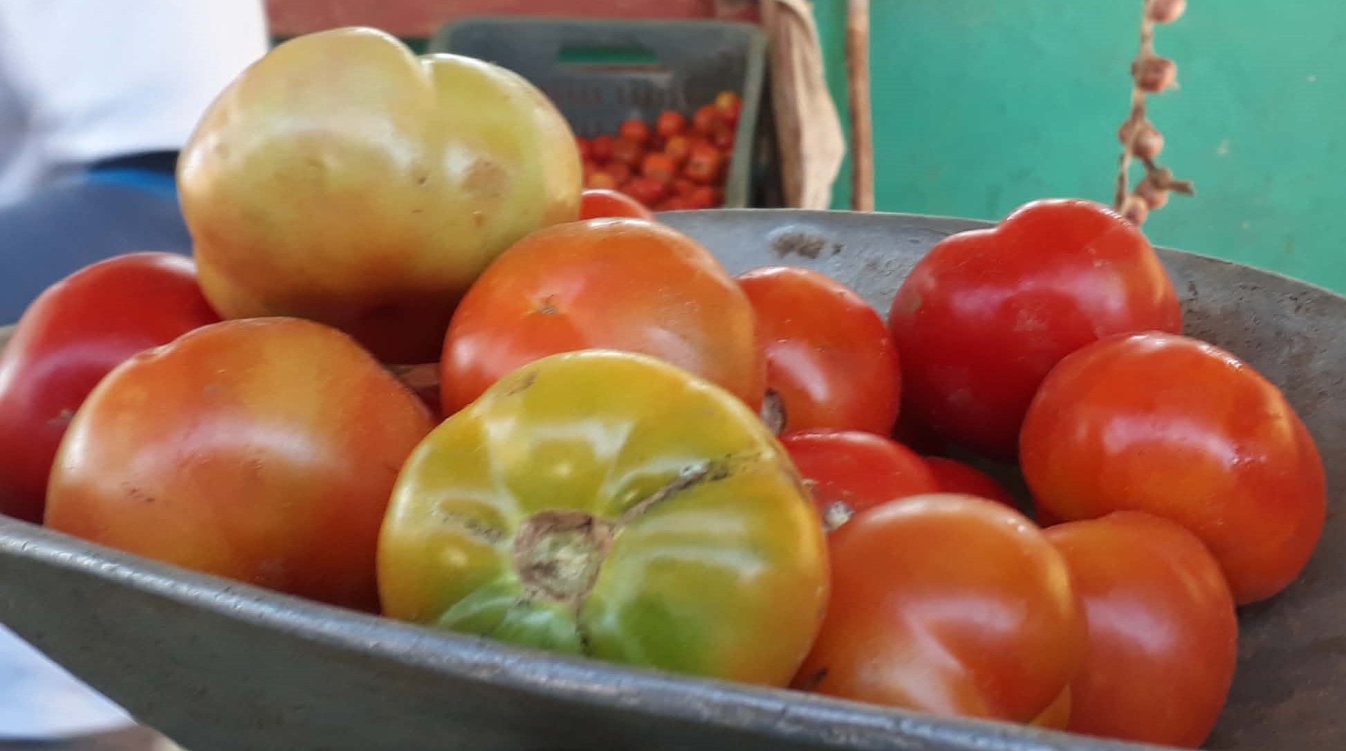 Cooperativa de Créditos y Servicios Abel Santamaría de la zona de Pasada de Marín