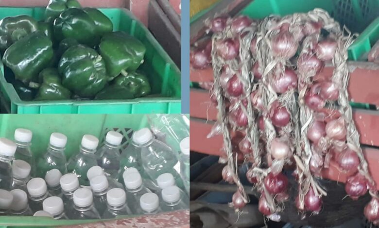 mercado estatal el framboyán sandino