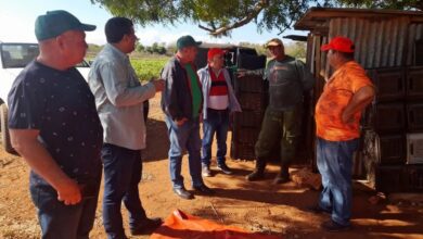 Eumelin González Sánchez, Gobernador de la provincia de Pinar del Río