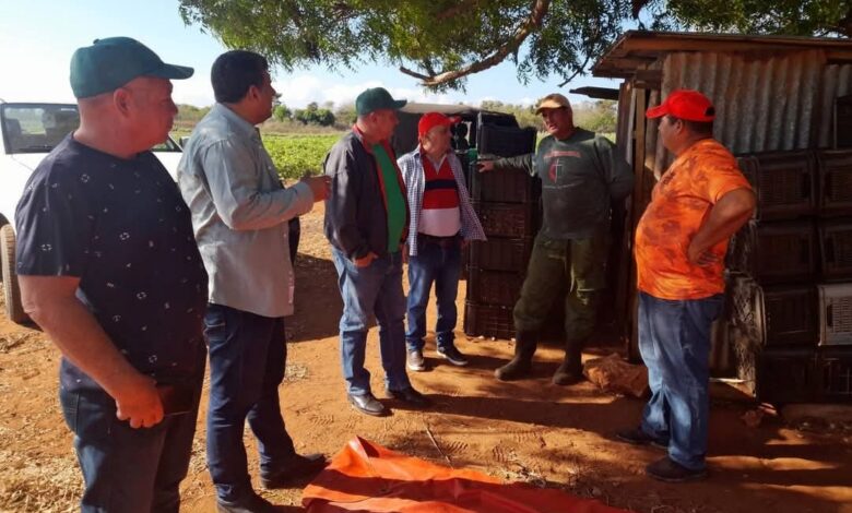 Eumelin González Sánchez, Gobernador de la provincia de Pinar del Río