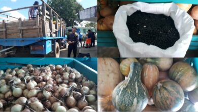 Acciona Acopio para abastecer mercados y puntos de venta en Sandino