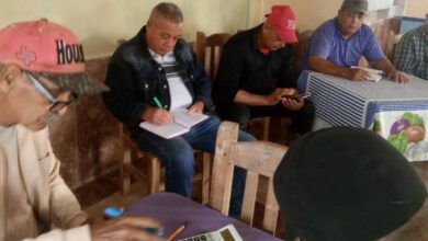 chequeo comercialización sandino