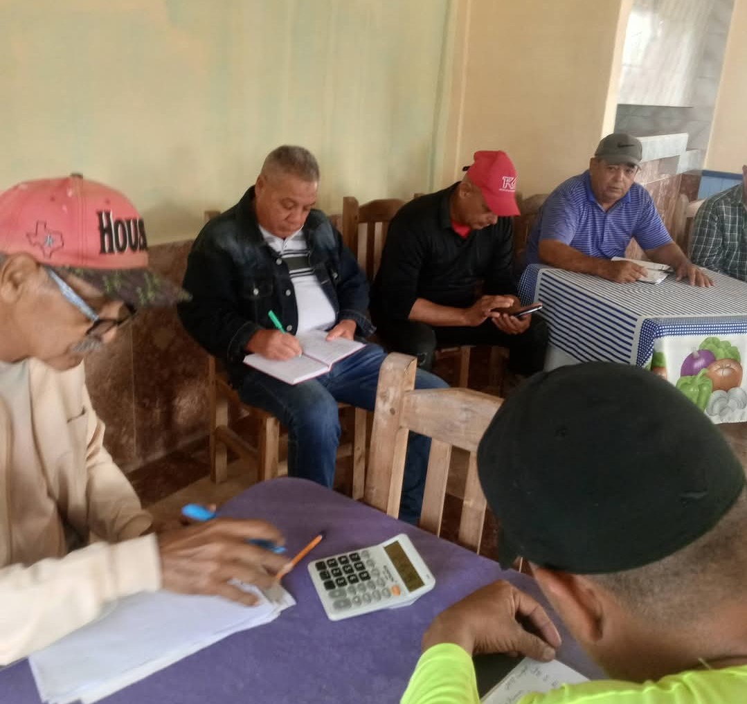 chequeo comercialización sandino