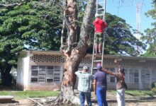 Ejercicio Meteoro 2026 en Sandino