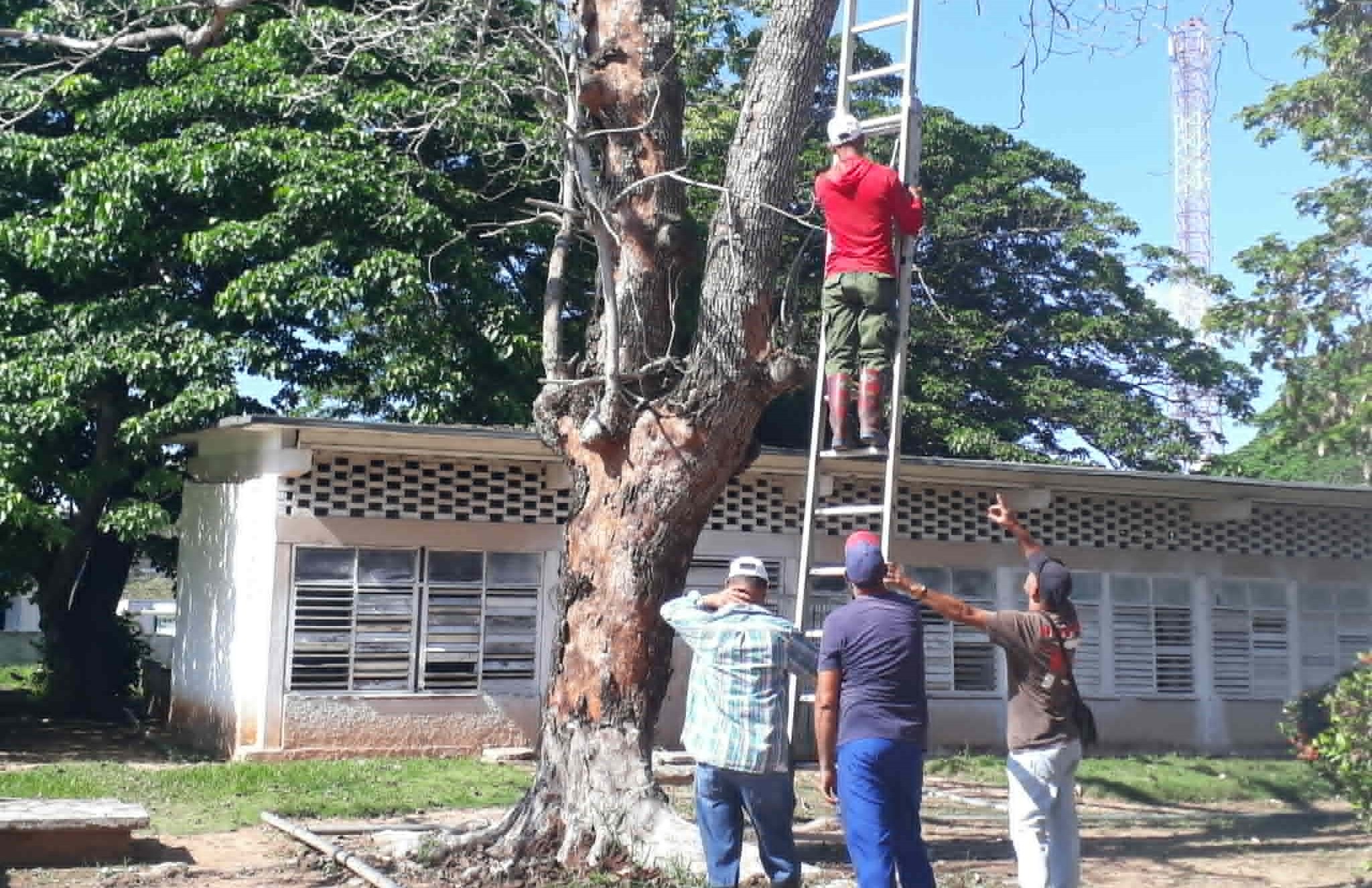Ejercicio Meteoro 2026 en Sandino