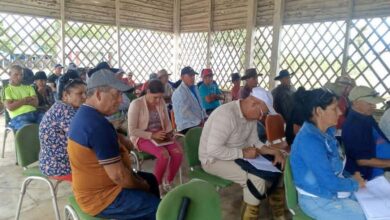 producción de alimentos Sandino