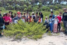 festival Filmarte guanahacabibes sandino